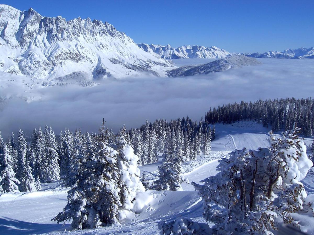 Mühlbach am Hochkönig Haus Koblerヴィラ エクステリア 写真